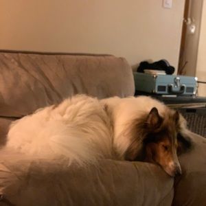 Meet your Posher, Vicky